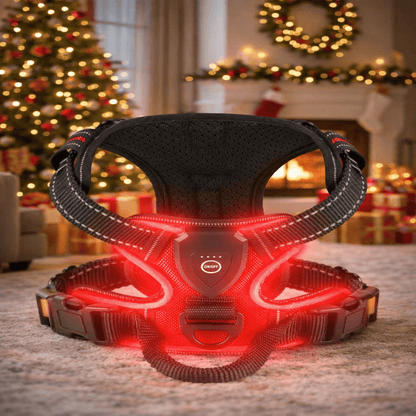 Rechargeable LED Dog Harness — Night Safety & No-Pull Fit 9