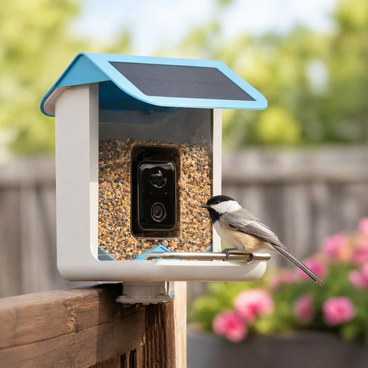 Smart Bird Feeder Camera Solar WiFi 1080p AI Outdoor IP65 1