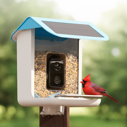 Smart Bird Feeder Camera Solar WiFi 1080p AI Outdoor IP65 3