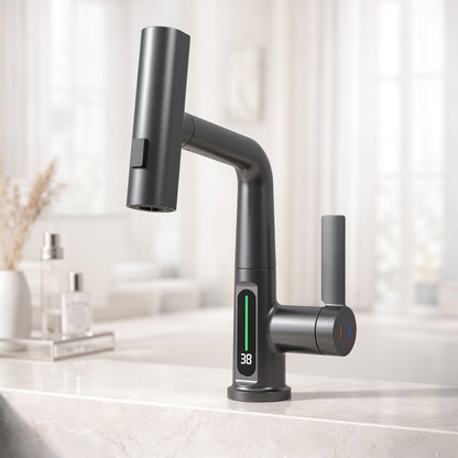 FlexiHahn Pull-Out Kitchen Faucet with LED Temperature Display 12