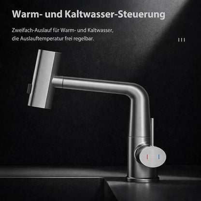 FlexiHahn Pull-Out Kitchen Faucet with LED Temperature Display 6