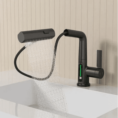 FlexiHahn Pull-Out Kitchen Faucet with LED Temperature Display 10