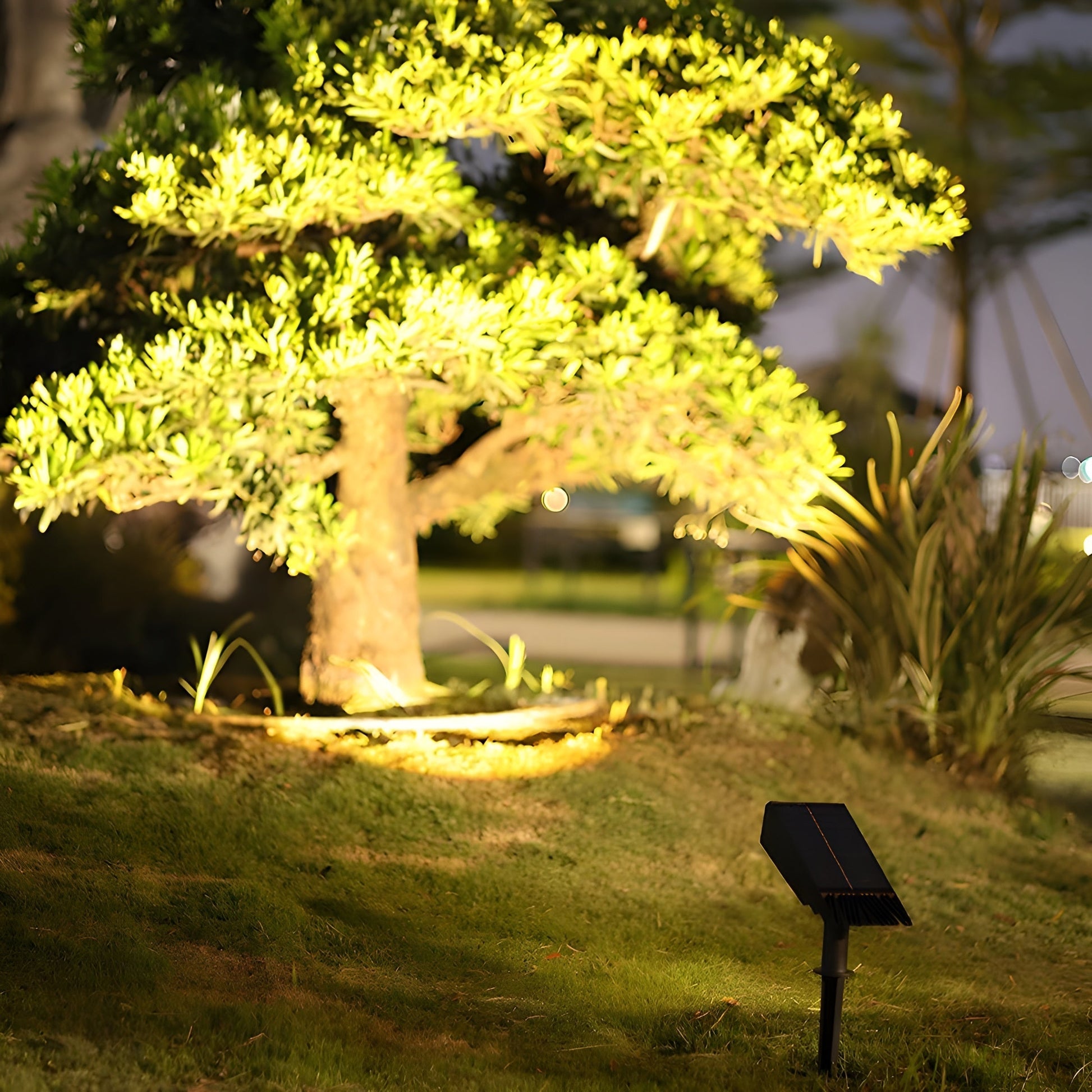 Faretto Solare LED da Giardino Testa Regolabile RGB