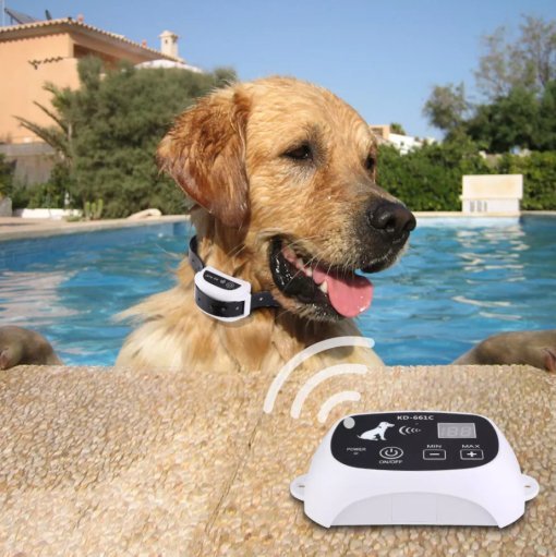 Recinto Elettronico Wireless per Cani con Collare Regolabile
