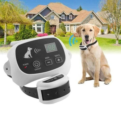 Recinto Elettronico Wireless per Cani con Collare Regolabile