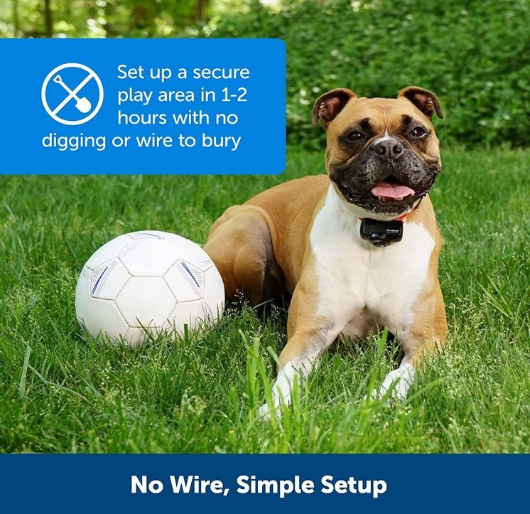 Recinto Elettronico Wireless per Cani con Collare Regolabile
